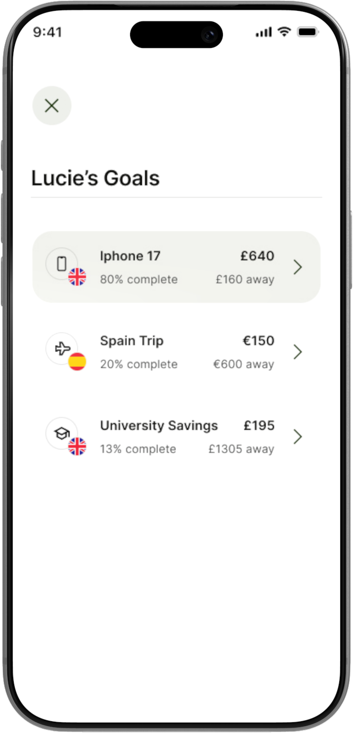 Goals overview